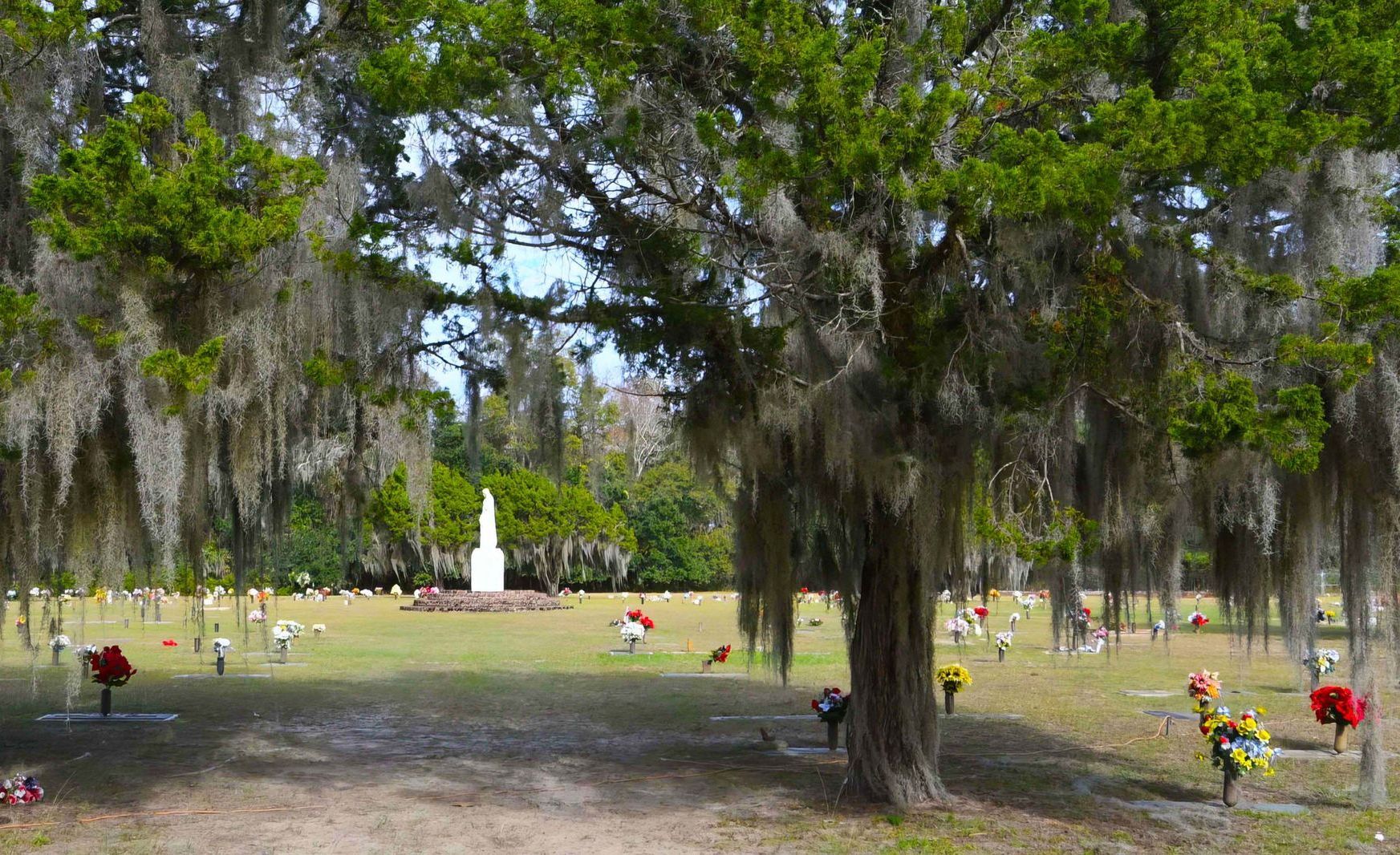 A cemetery with trees and spanish moss hanging from them.