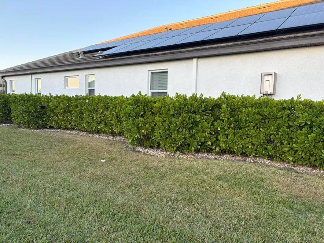 Landscaping and Exterior Lighting