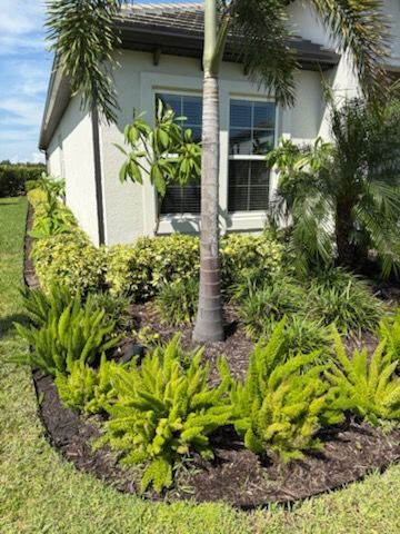 A house exterior with landscaped beds of green and yellow plants, a tree trunk, and a blue sky.