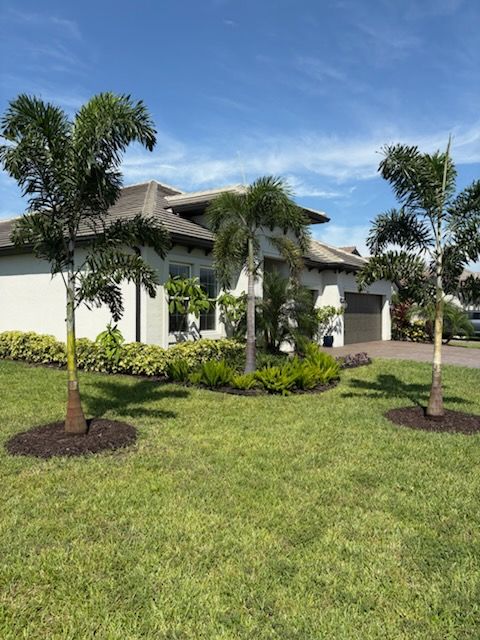 A house with palm trees in the front yard, under a blue sky. The trees have mulch around their bases.