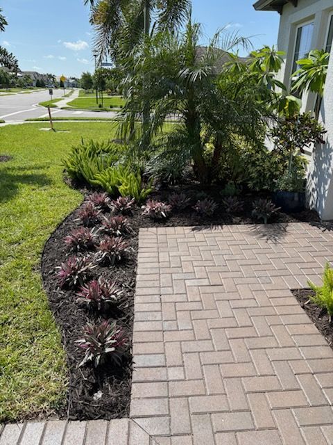 Brick walkway leading to a house with landscaped garden beds; lush green grass, palm trees, and reddish-purple plants.