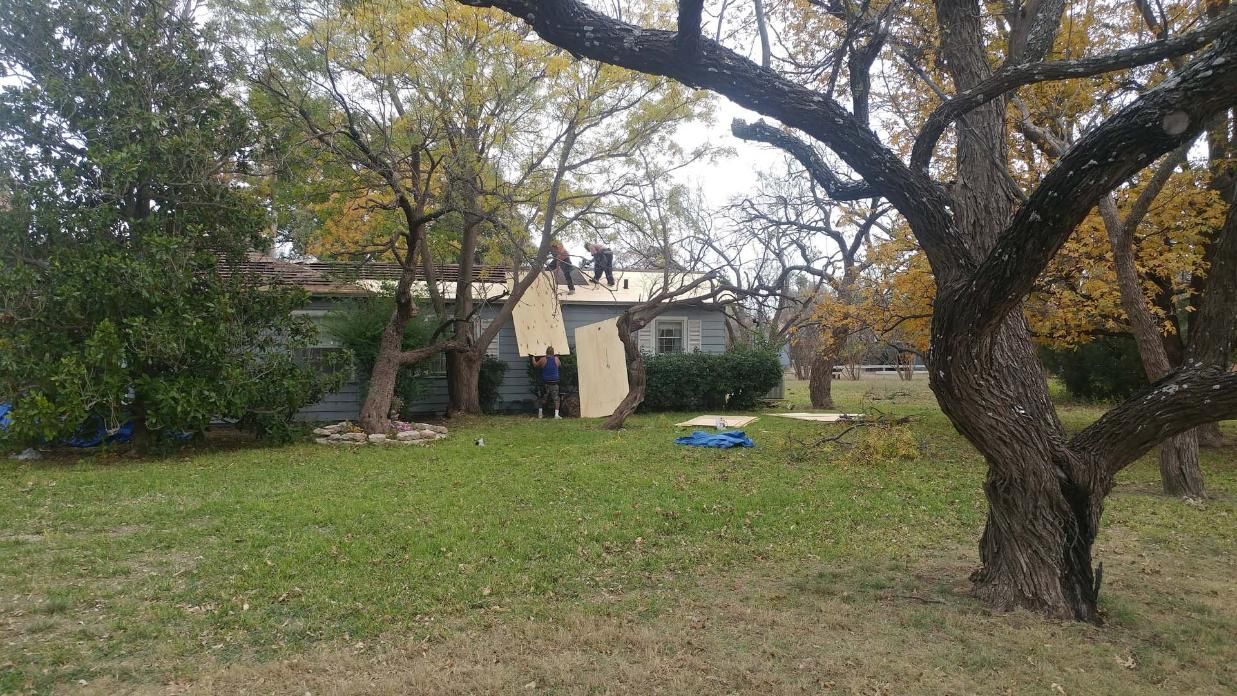 Backyard with large trees, grass, a house in the background, and a small blue object on the lawn