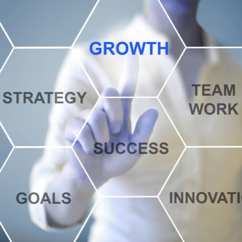 website builder near me