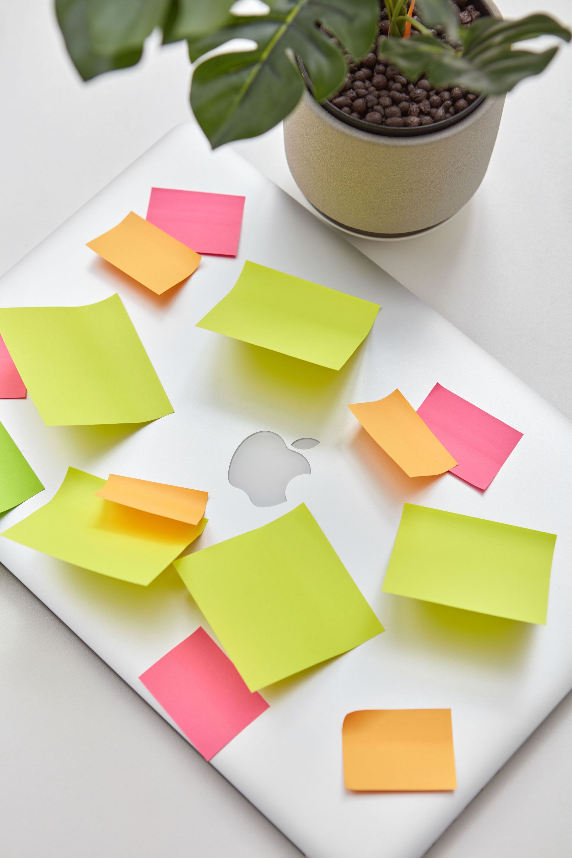 Local Bloomington Indiana Web Design and Digital Marketing
