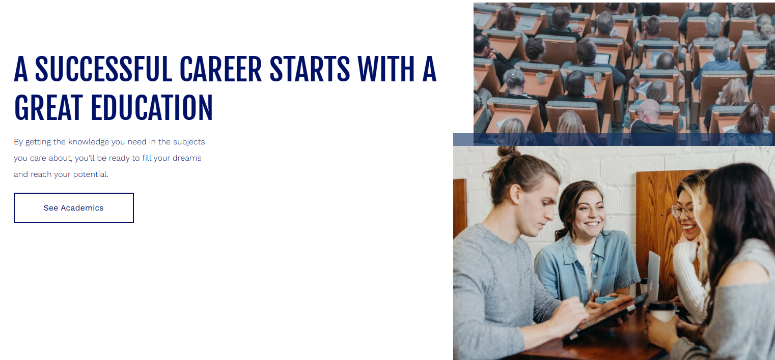 Website Designers Near Me