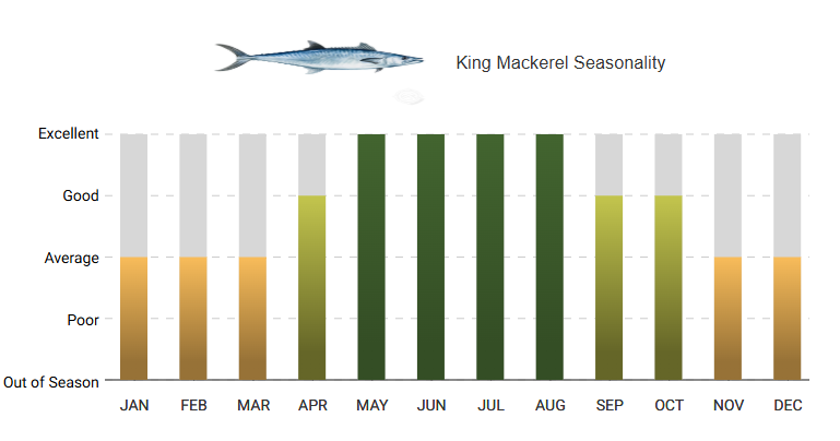 A graph showing the king mackerel seasonality for each month