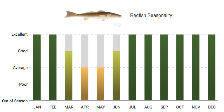 A graph showing the amount of fish caught in each month.