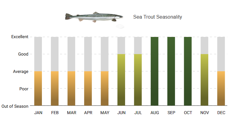 A graph showing the seasonality of a fish