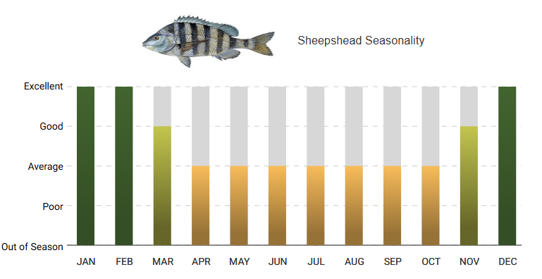 A graph showing the sheephead seasonality of a fish.