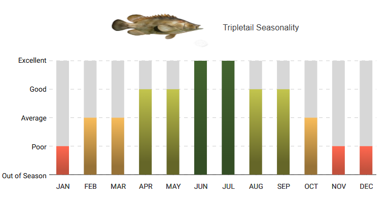 A graph showing the average amount of fish caught in each month