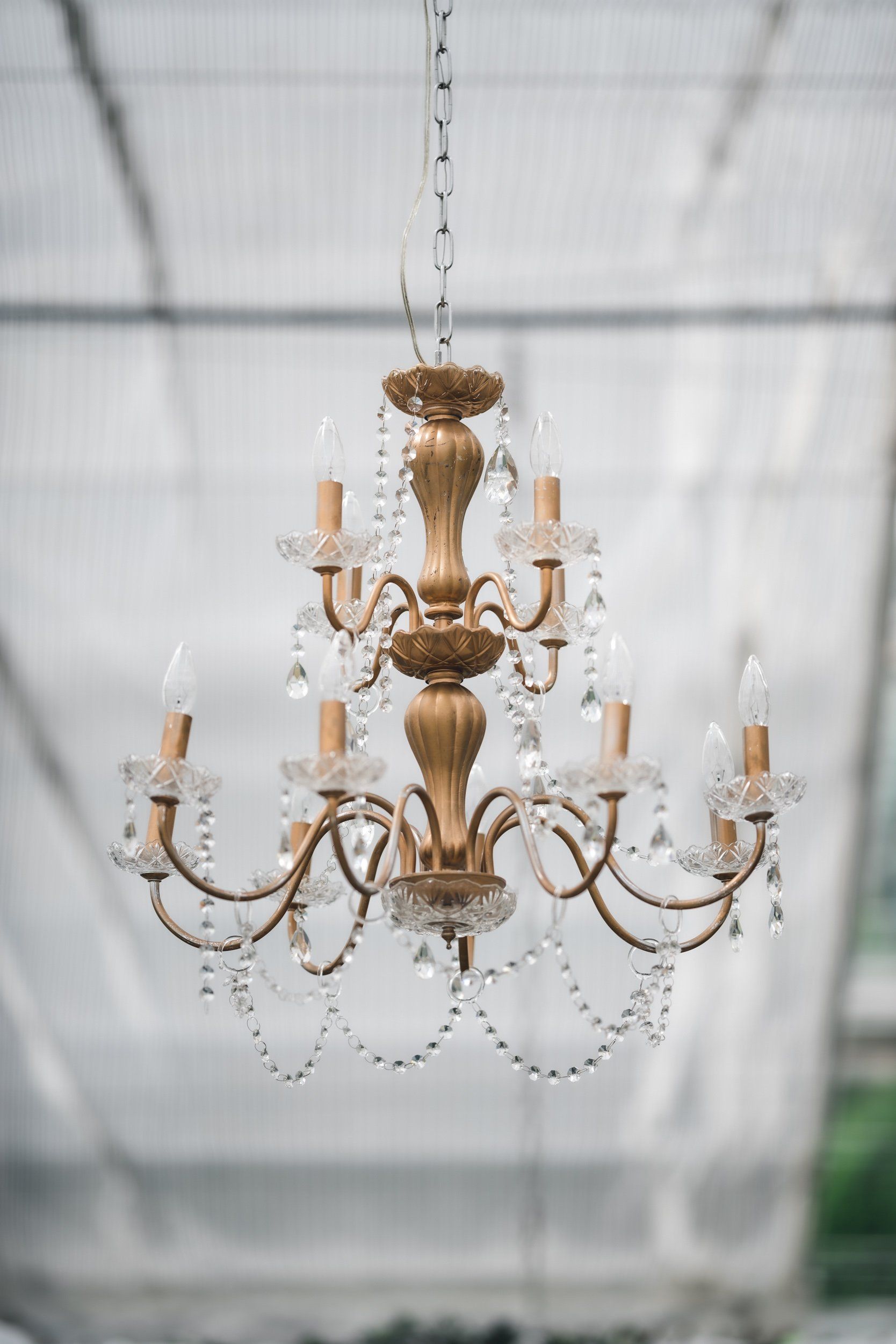A close up of a chandelier hanging from the ceiling in a greenhouse.