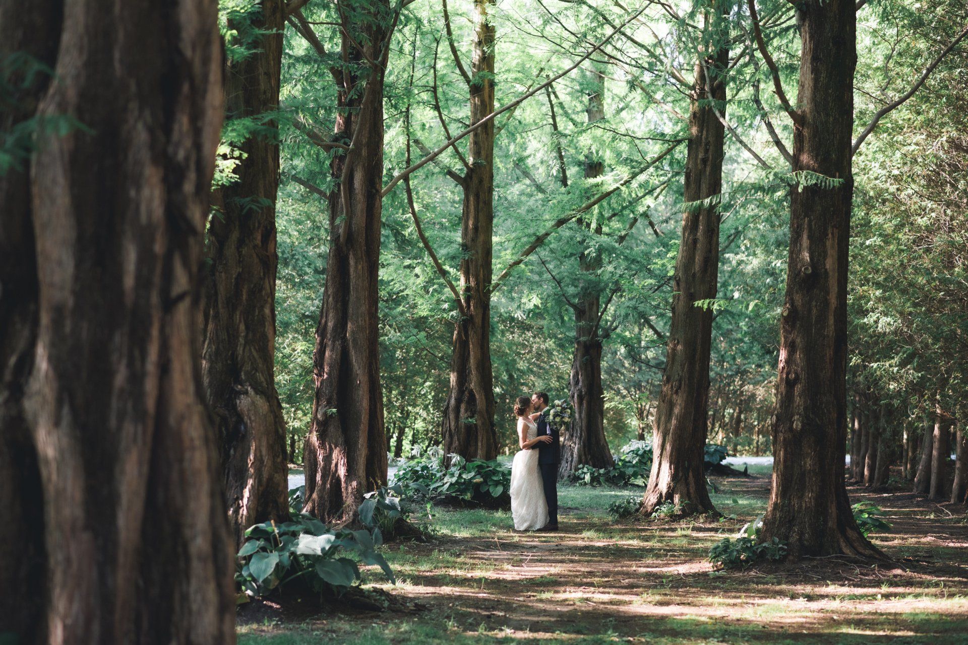 A bride and groom are standing in the middle of a forest.