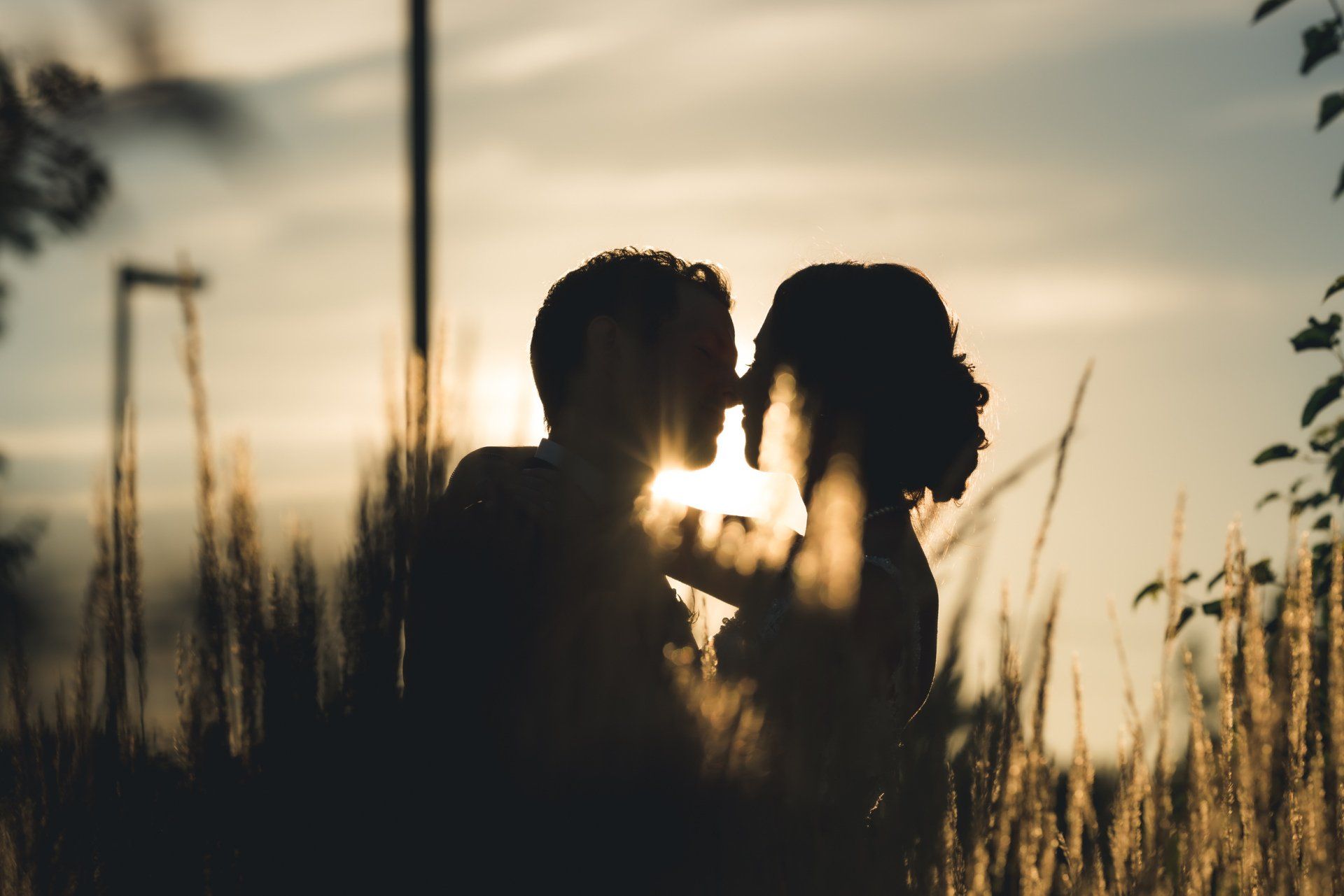 A man and a woman are kissing in a field at sunset.