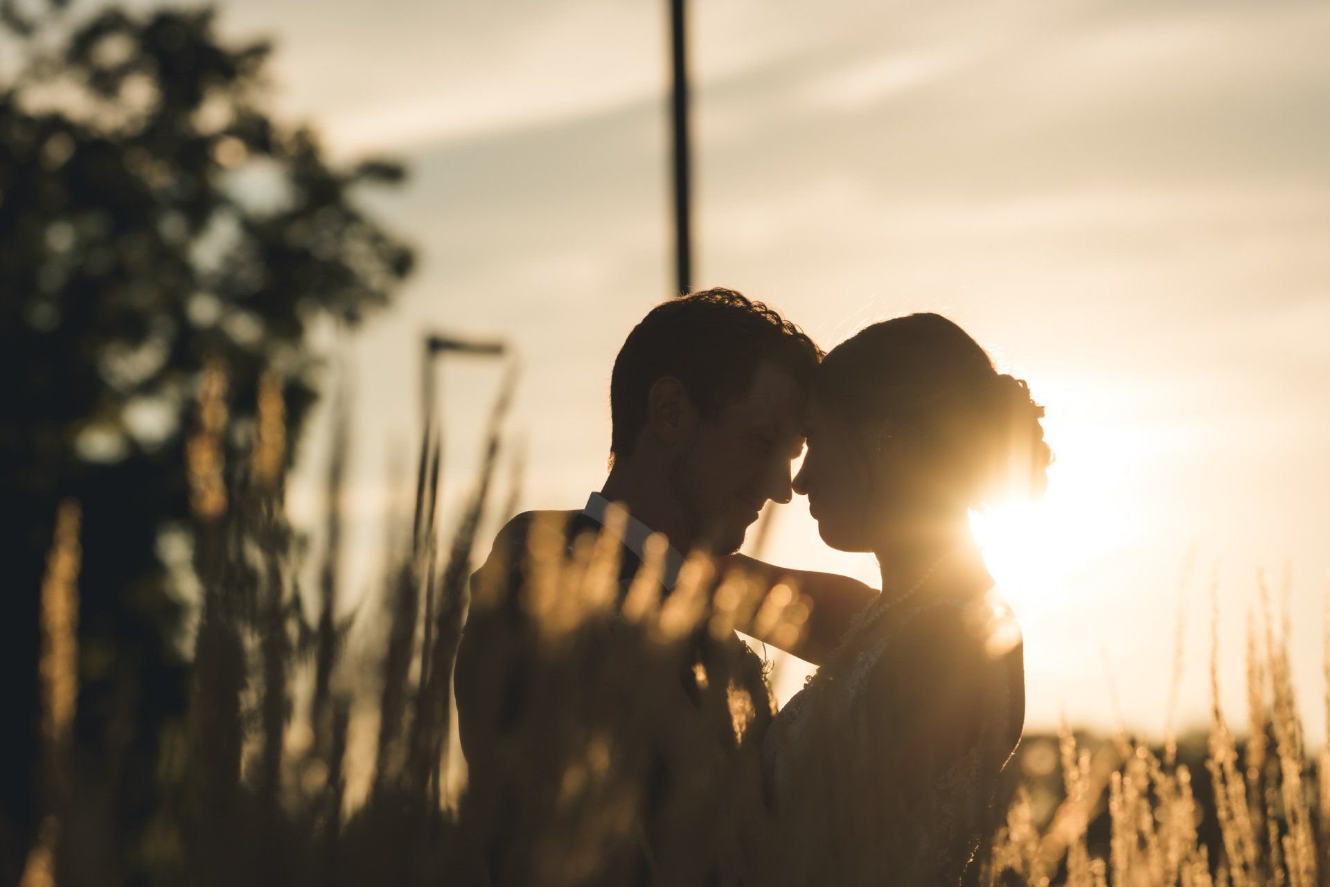 A man and a woman are kissing in a field at sunset.