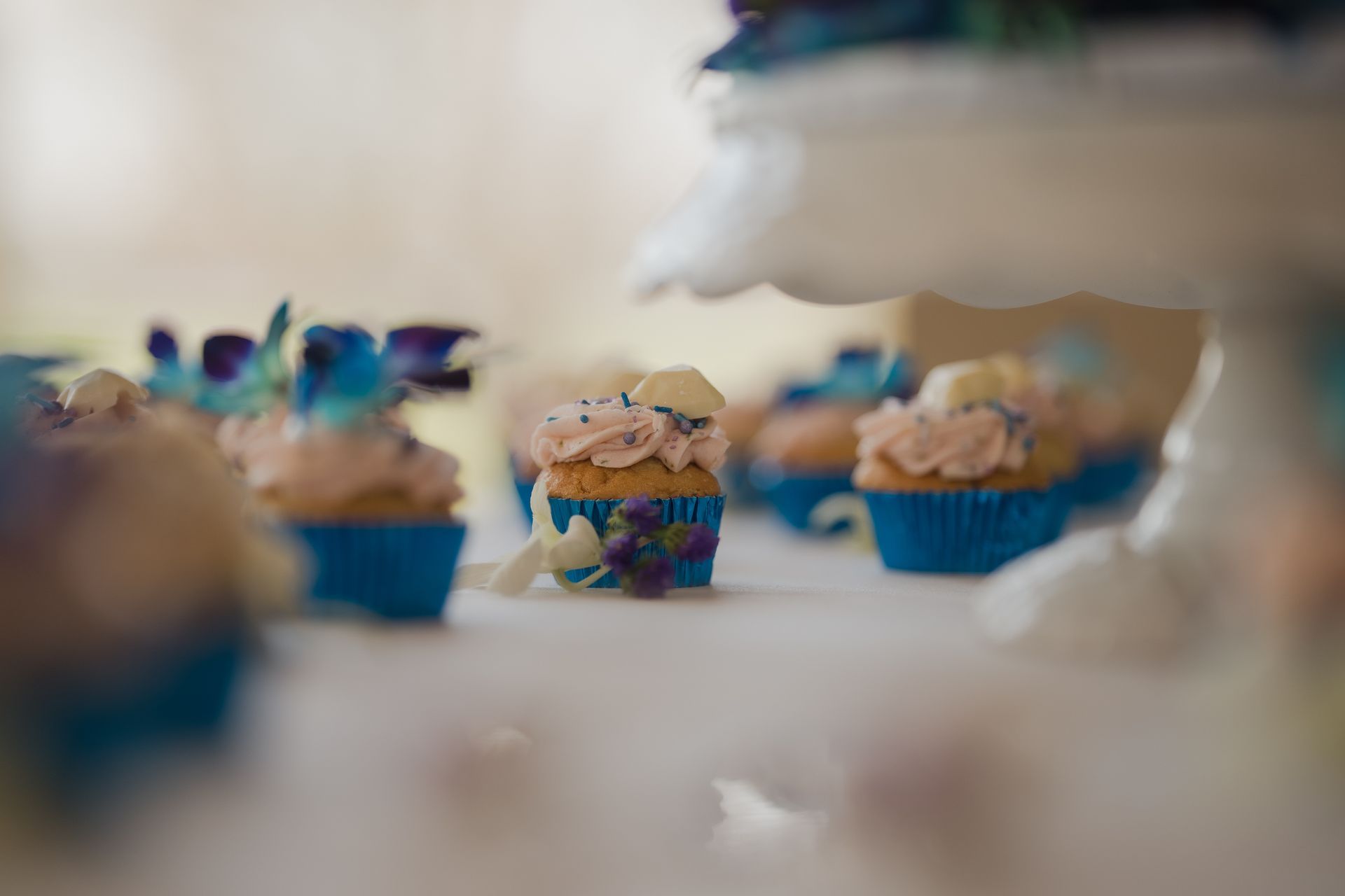 Wedding photography at the lengths of Kent in Chatham