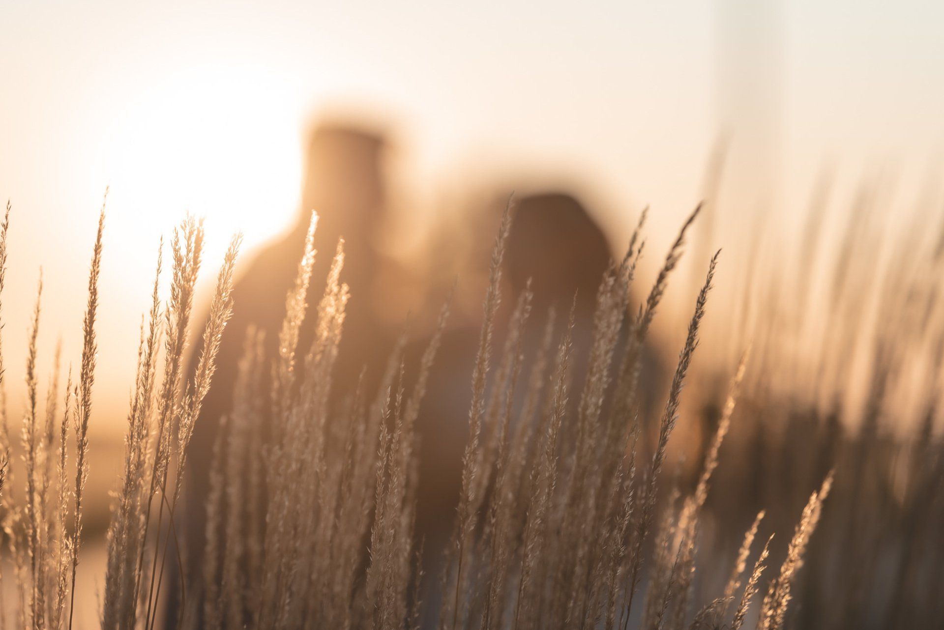 A couple standing in a field of tall grass at sunset.