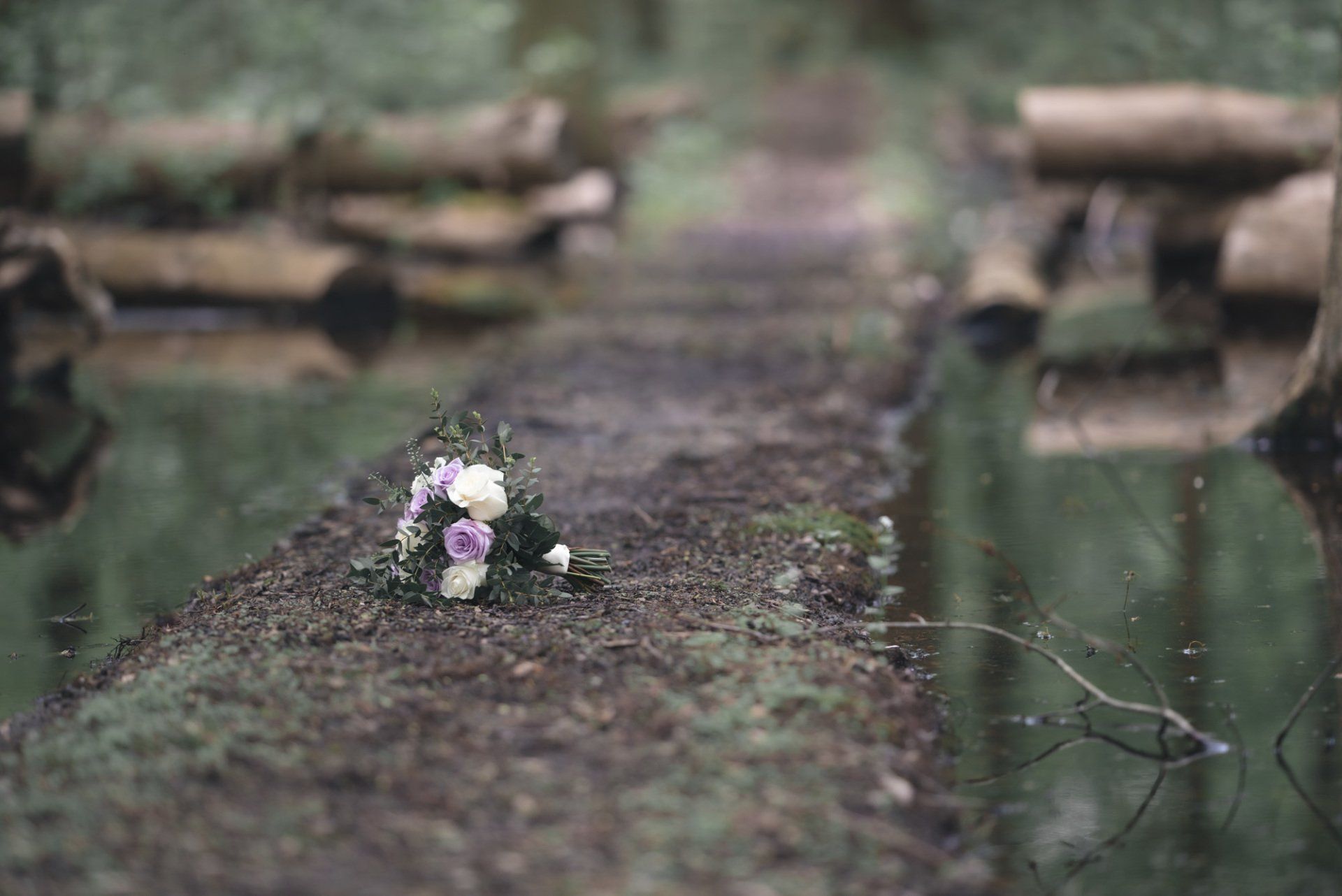 A bouquet of flowers is sitting on the ground in the woods.