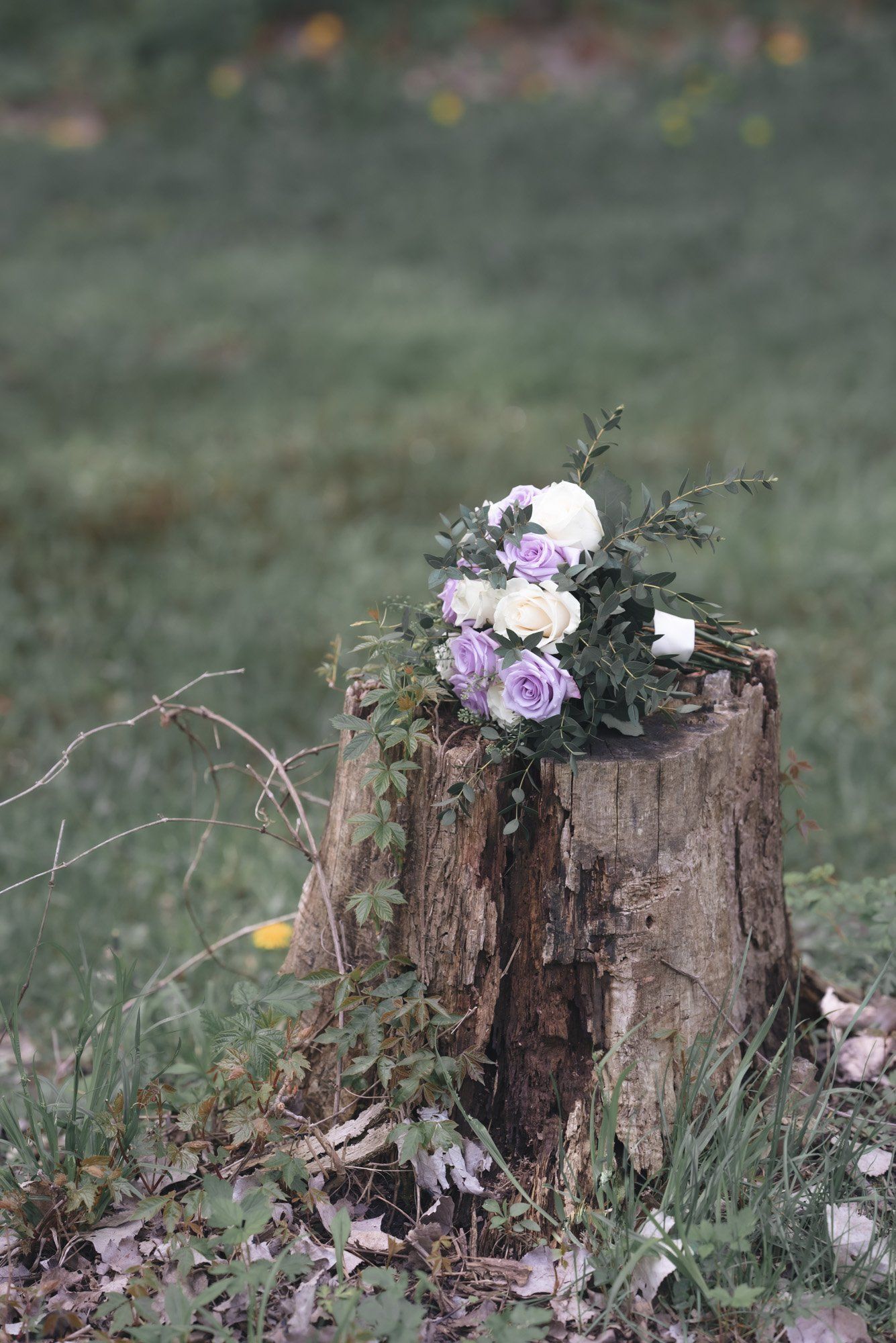 A tree stump with flowers on it in the grass.