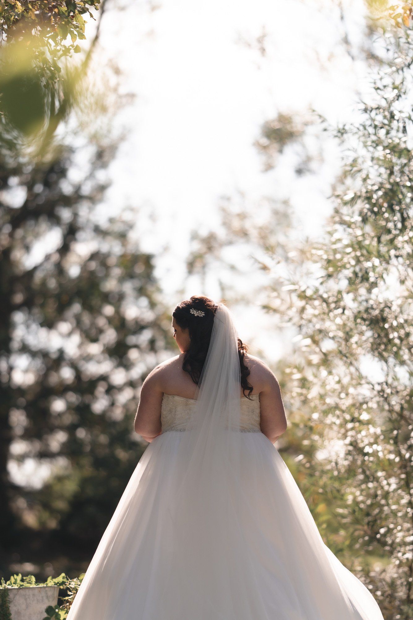 A bride in a wedding dress and veil is standing in front of trees.