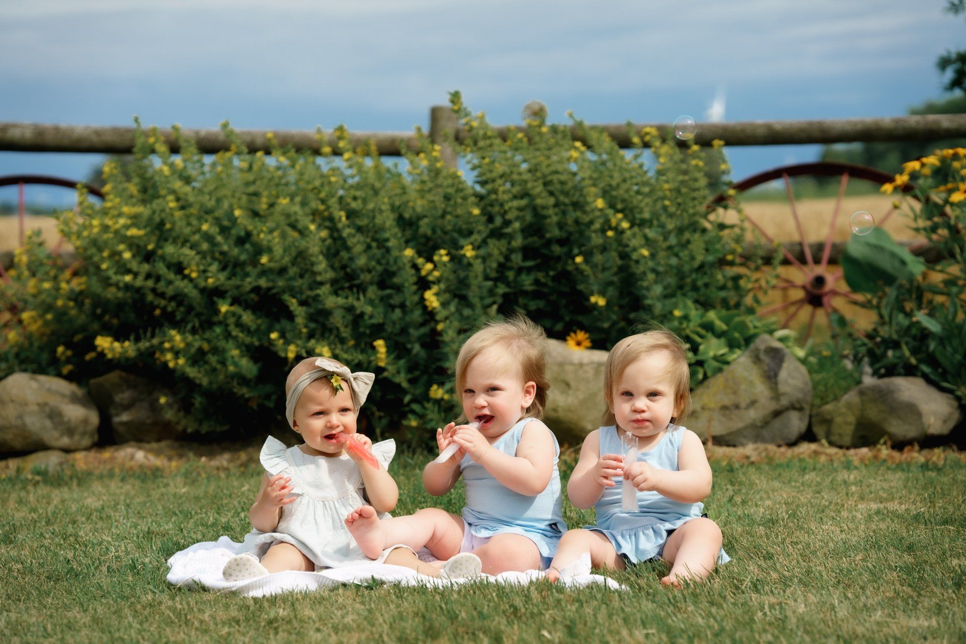 Three babies are sitting on a blanket in the grass eating watermelon.