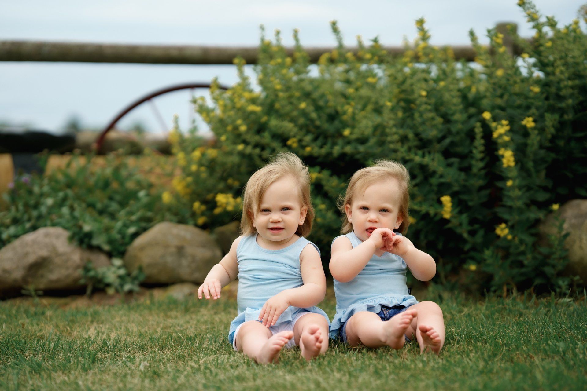 Two little girls are sitting next to each other in the grass.