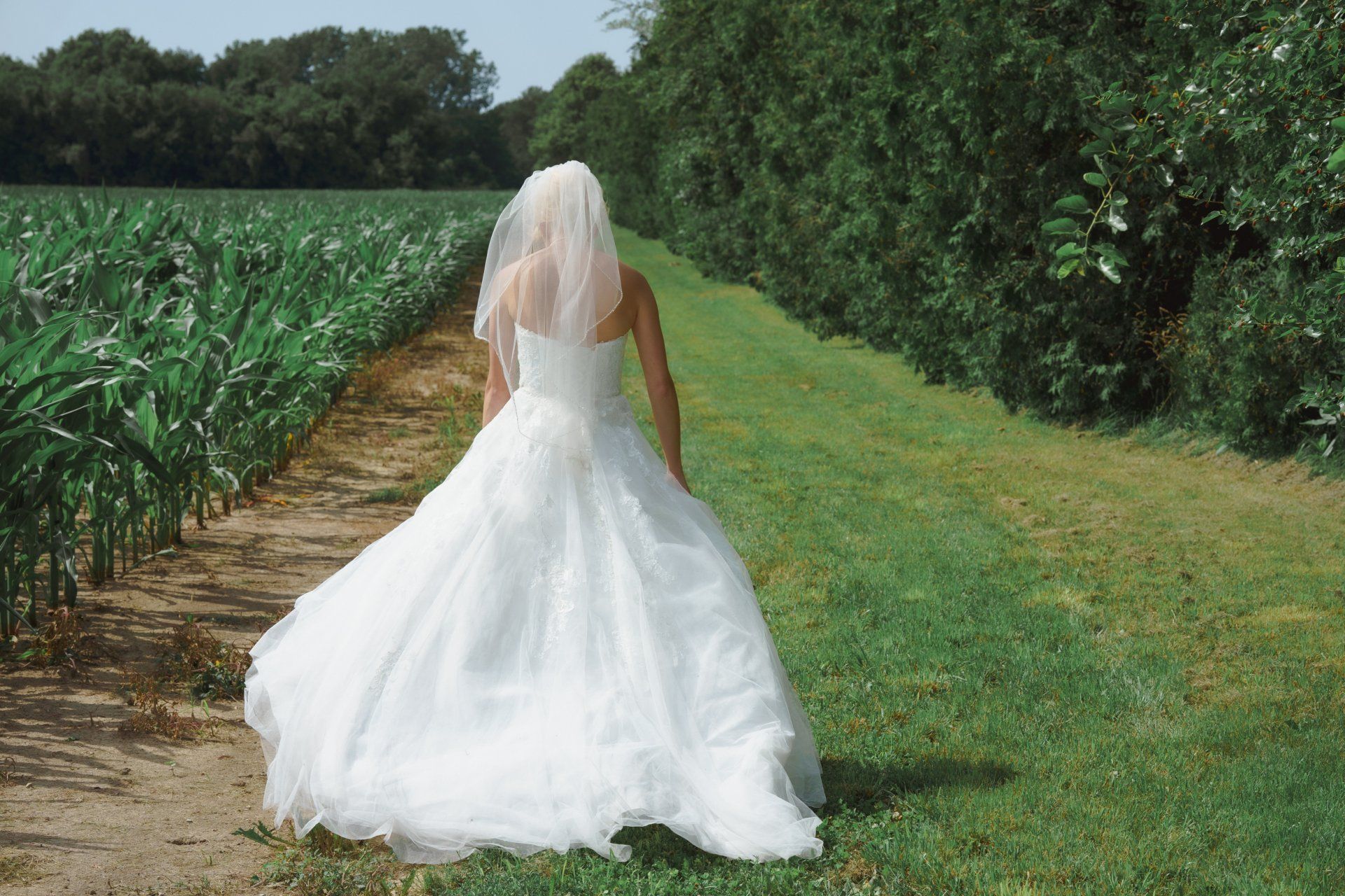 A bride in a wedding dress is walking down a path in a field.