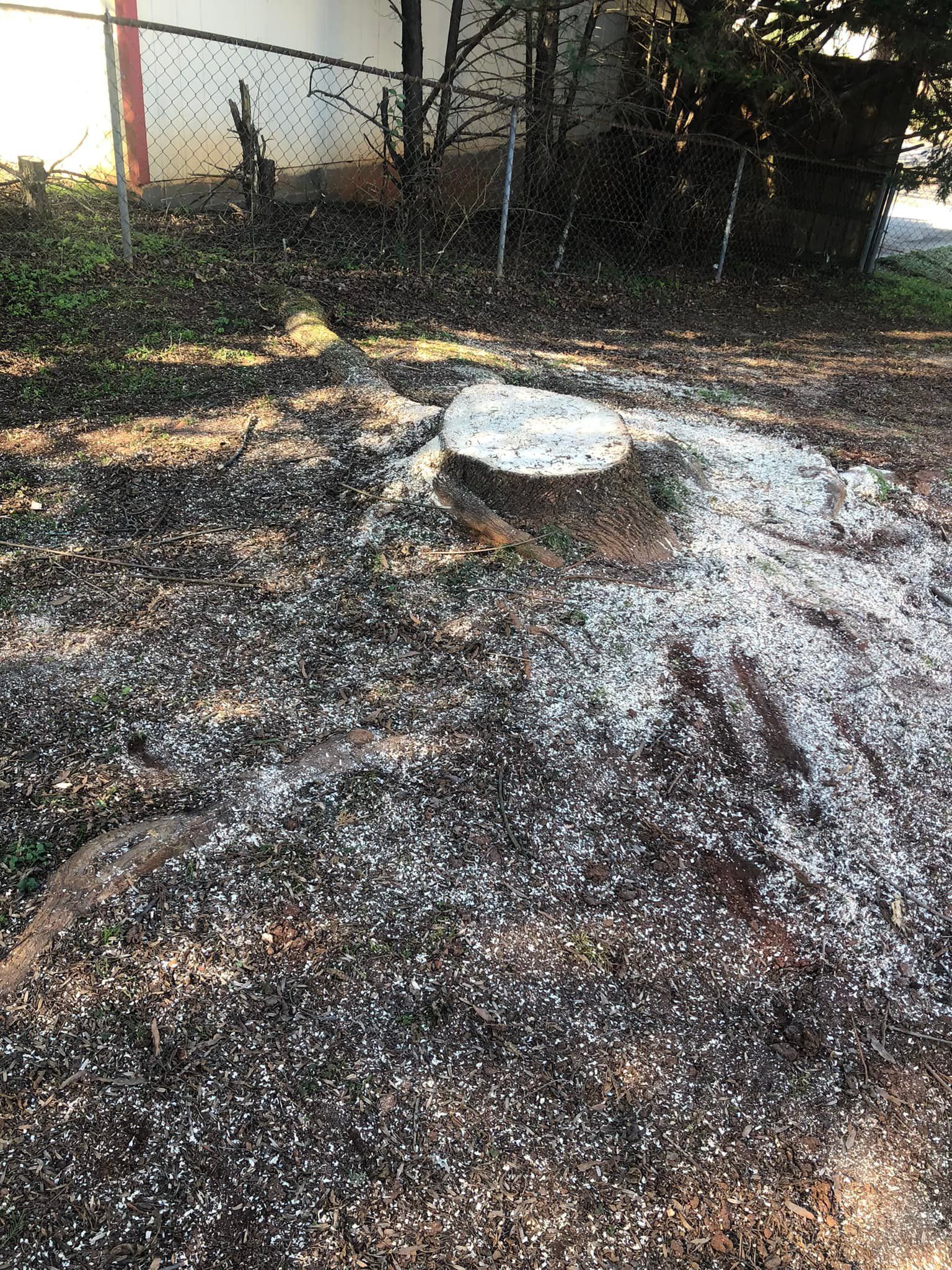 A tree stump is sitting in the middle of a dirt field.