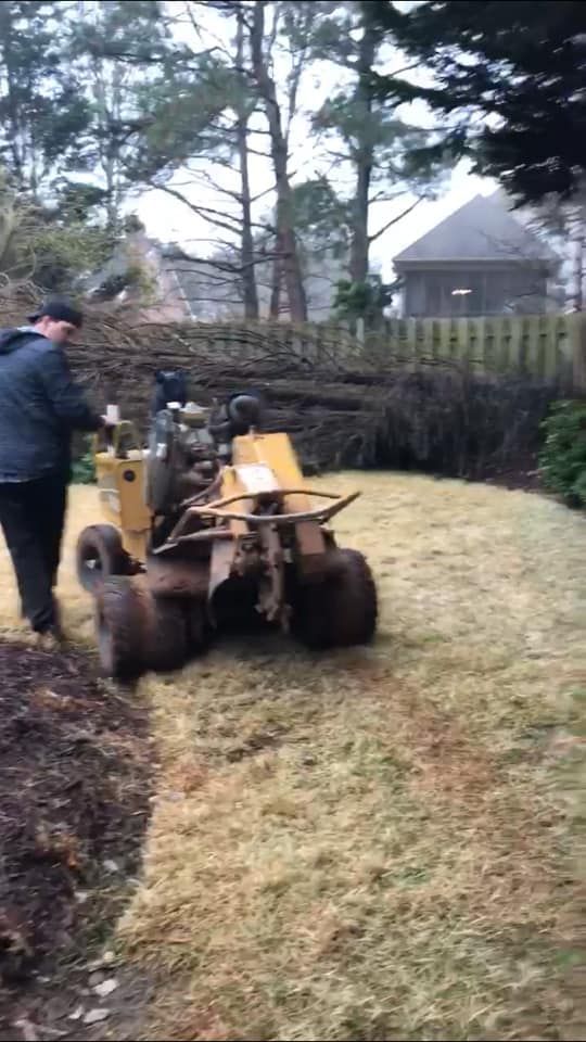 A man is standing next to a stump grinder in a yard.