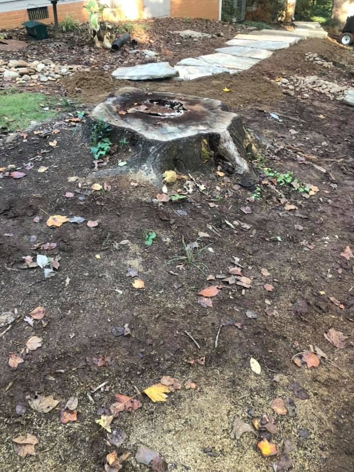 A large tree stump is sitting in the middle of a dirt field.