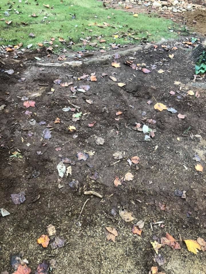 A pile of dirt and leaves on the ground in a yard.