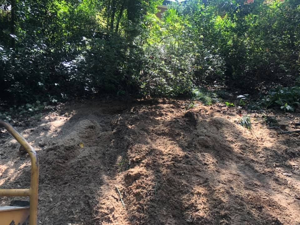 A pile of dirt is sitting in the middle of a forest.