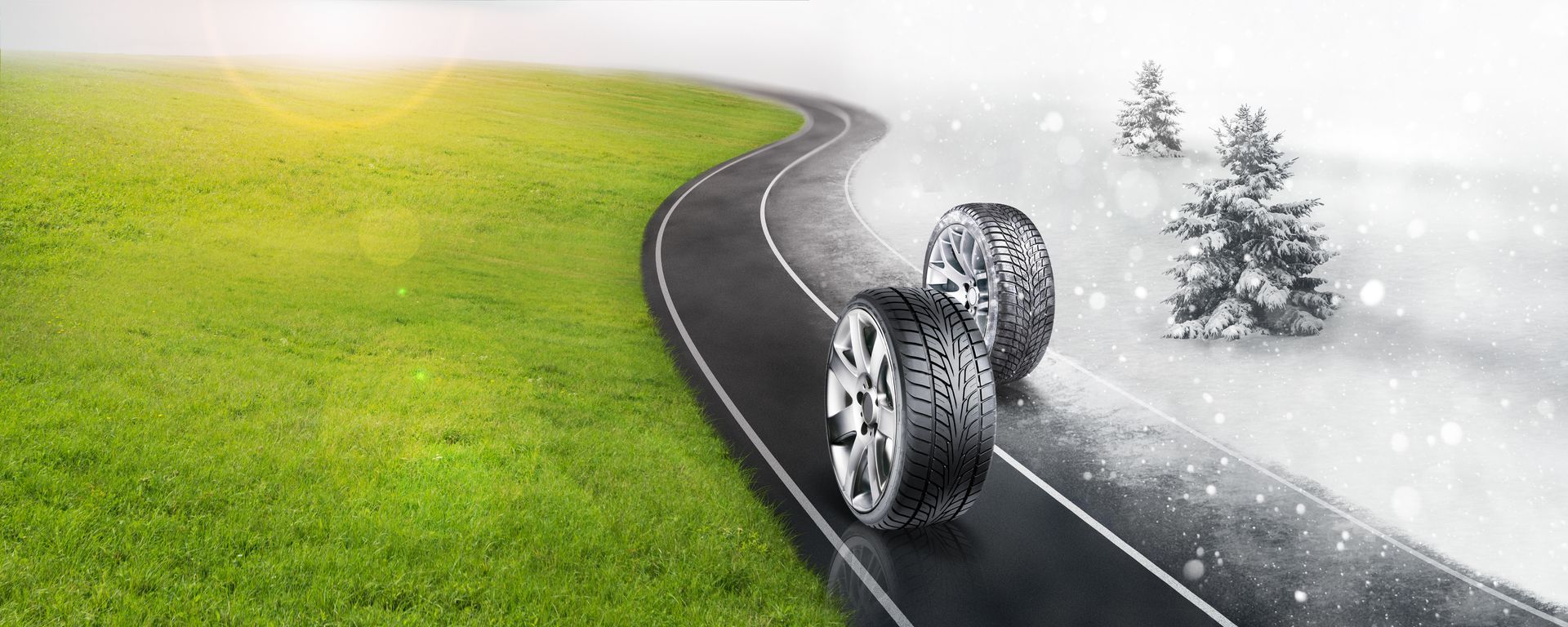 Winter Tires vs. Summer Tires: What’s the Real Difference?