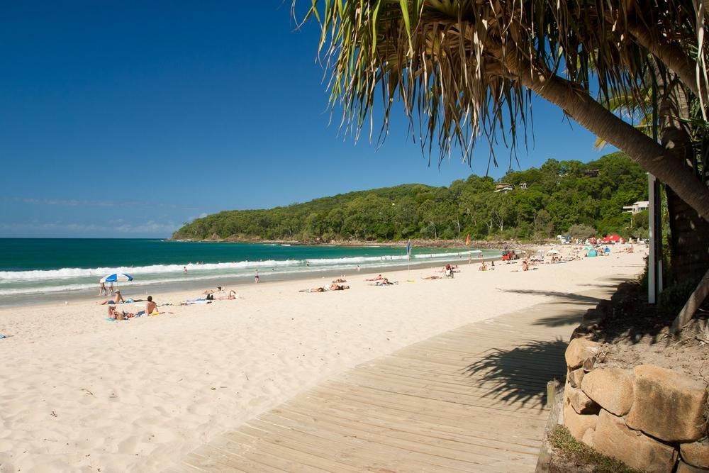 A Beach with People Laying on The Sand and A Tree in The Foreground — Chilli Bins Skip Bins in Noosa, QLD