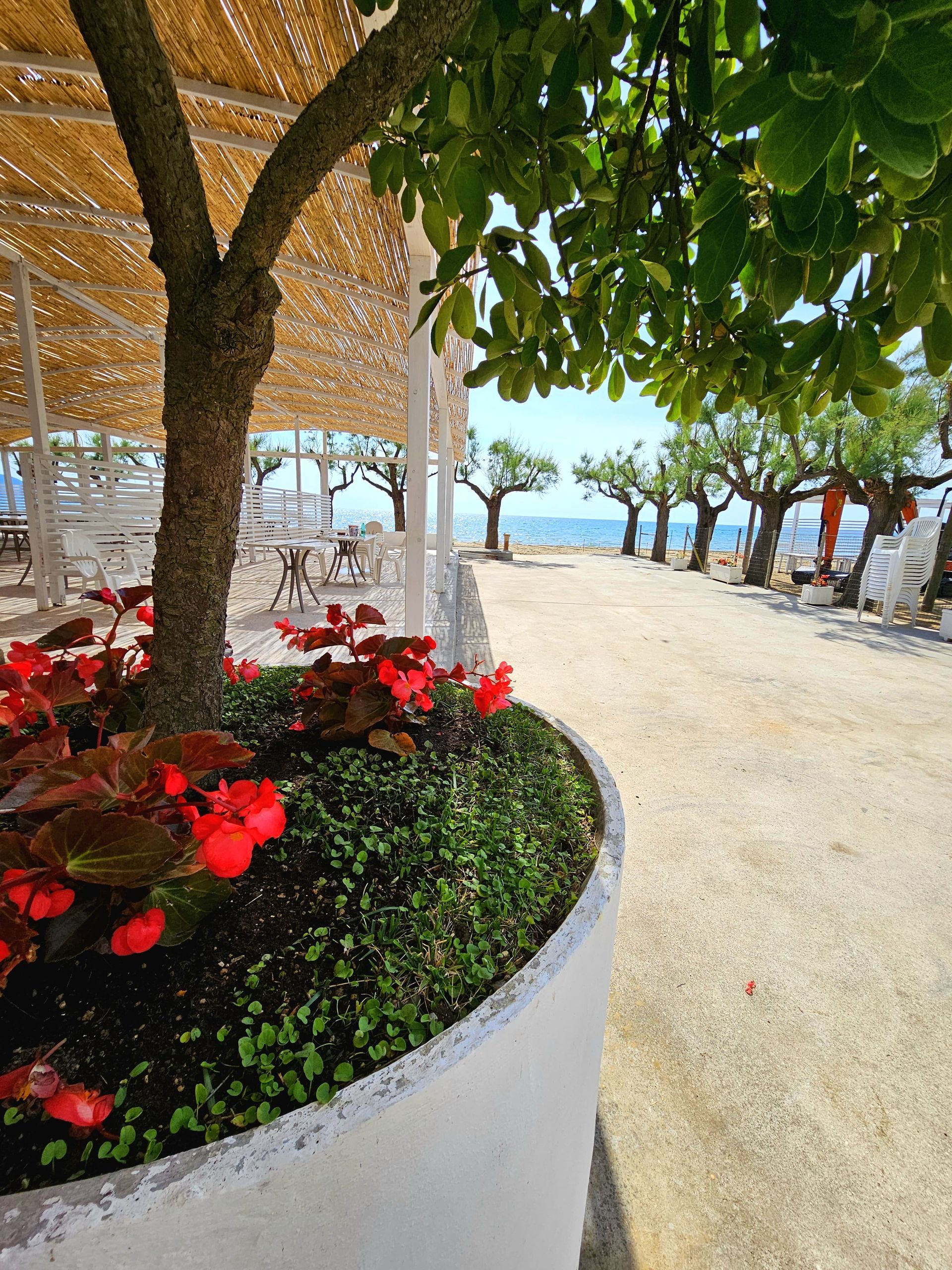 lido venere agropoli