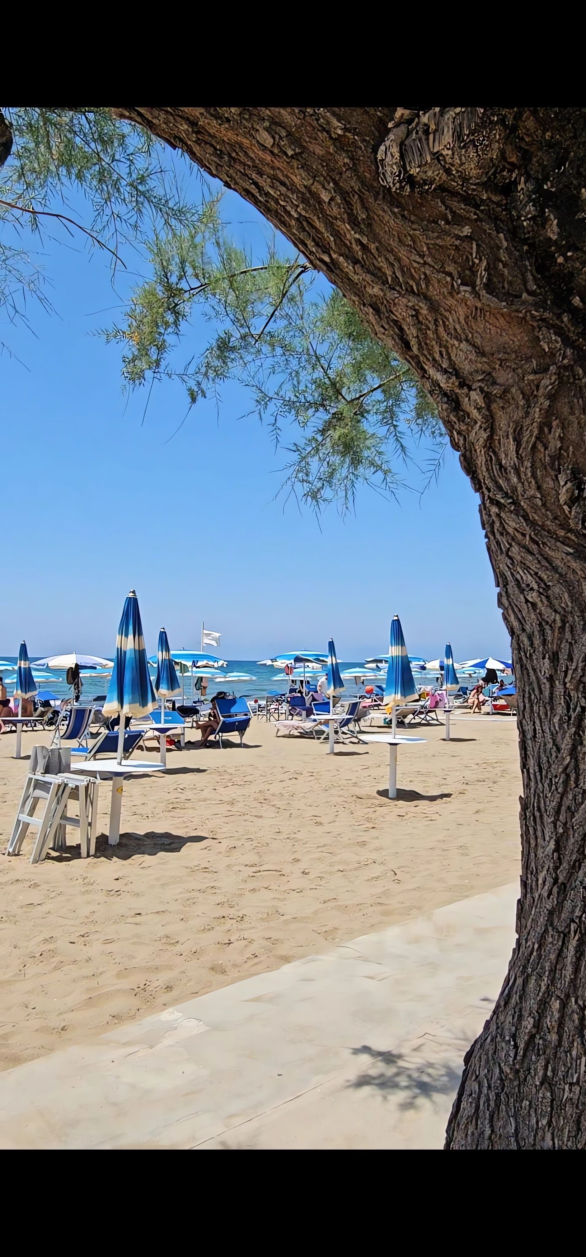 Ampia spiaggia