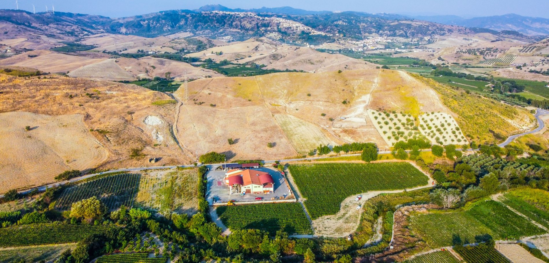 Azienda di vini