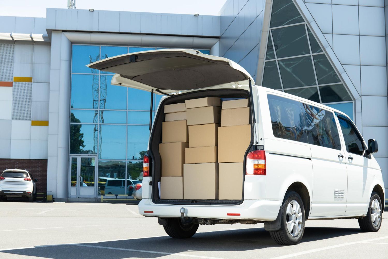 A herd of bison are walking through a grassy field.