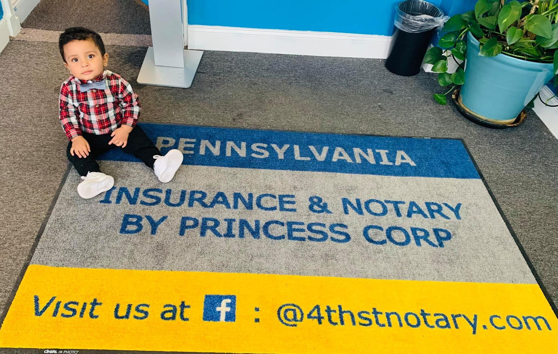 A herd of bison are walking through a grassy field.