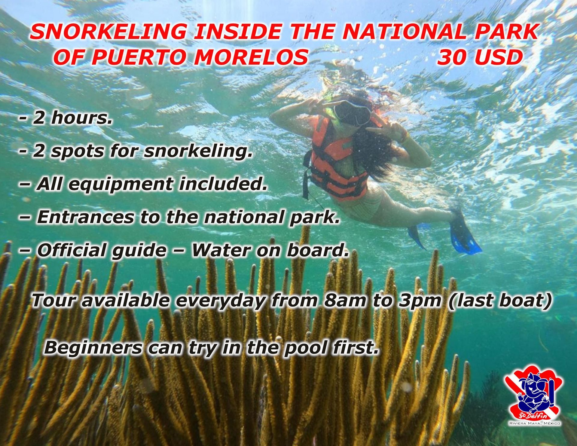 Snorkeling tour advertisement: $30, includes gear, guide, & park entry. 2 hours, multiple spots. Swimmer in water.