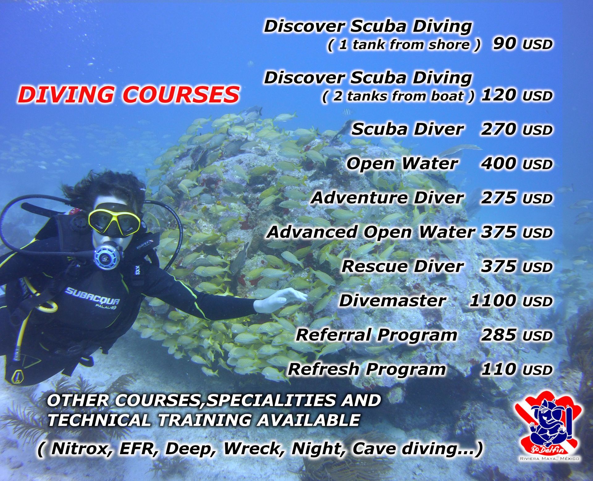 Scuba diving courses price list: Discovery, Scuba Diver, Open Water, Adventure, Advanced, Rescue, Divemaster. Person underwater.