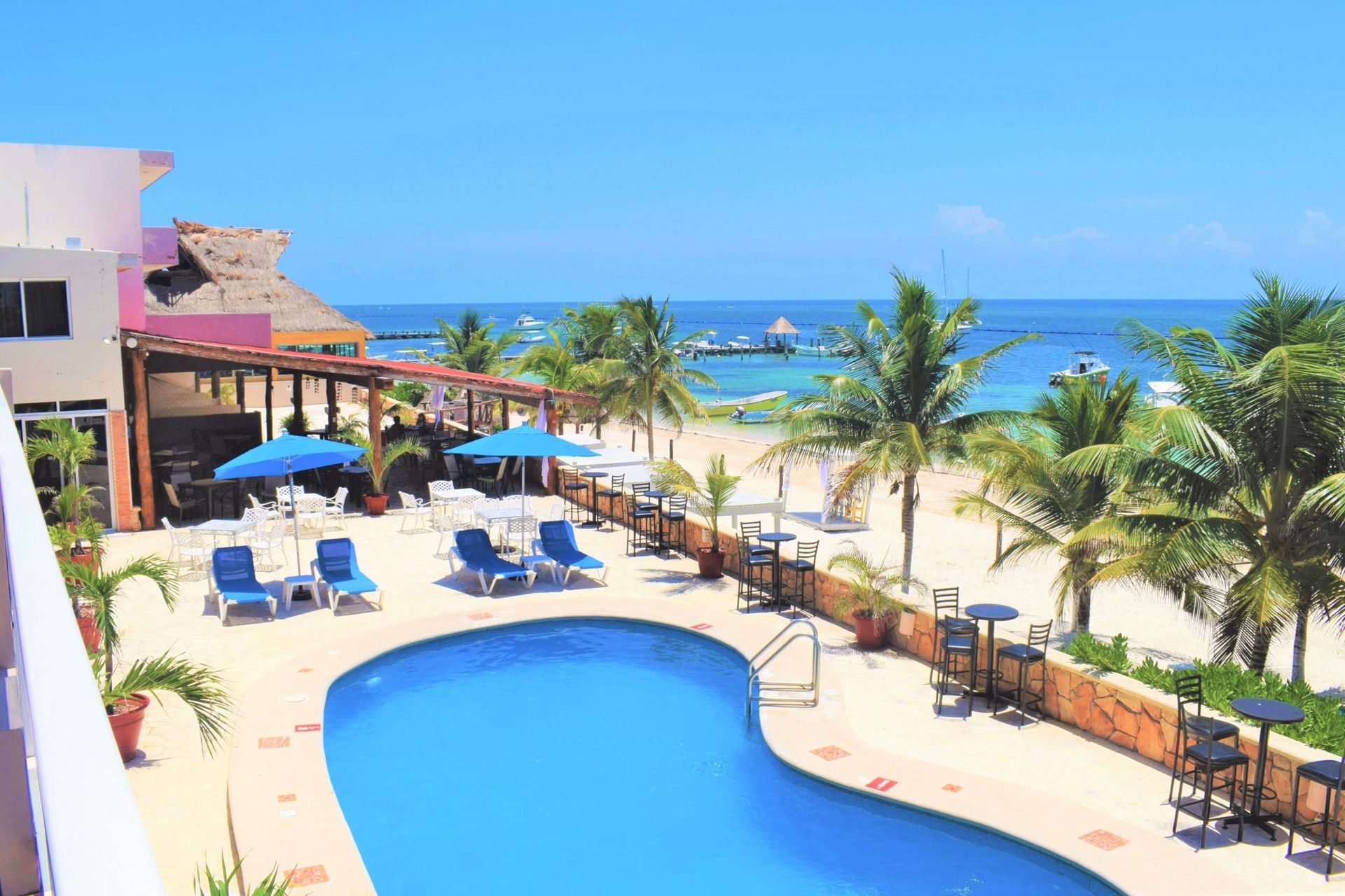 Pool overlooking beach and ocean; palm trees, blue sky, and a restaurant.