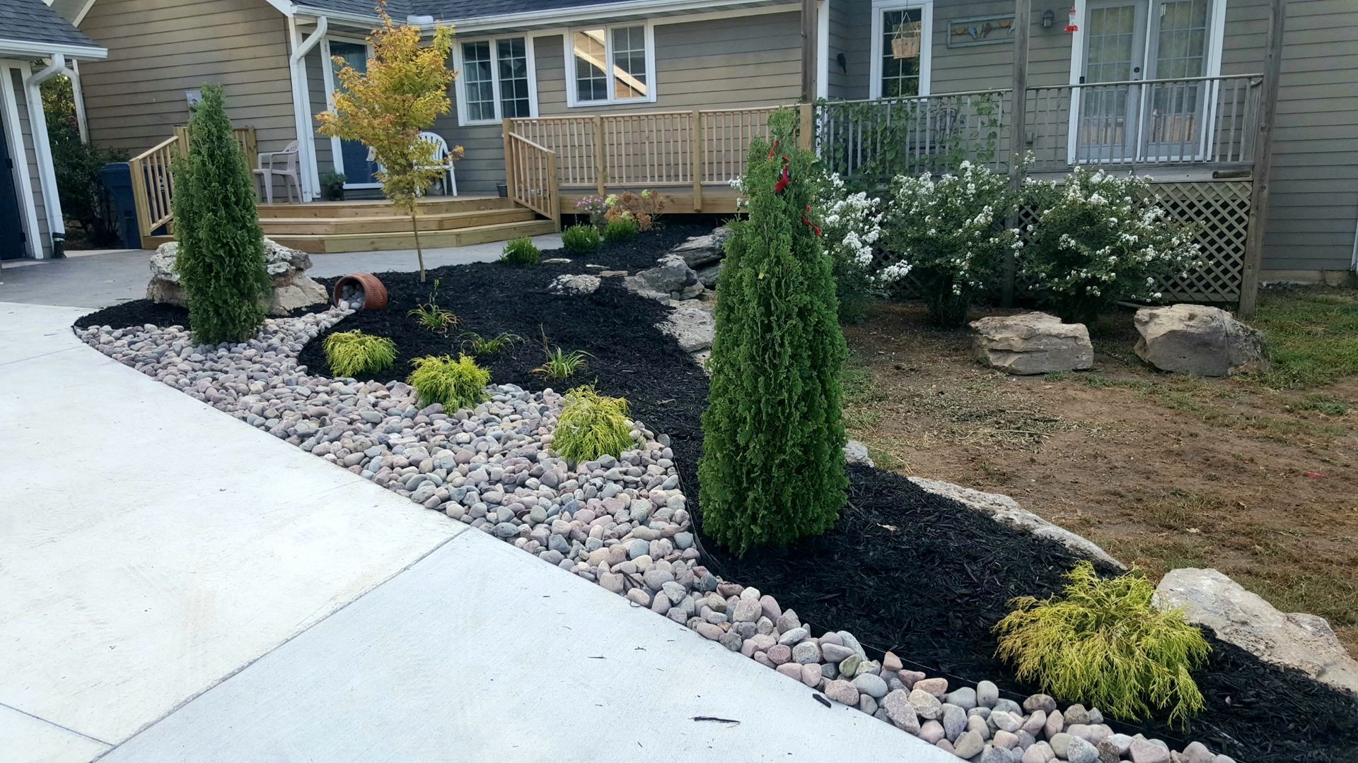 Landscaped yard with black mulch, decorative stones, evergreen trees, and a house in the background.