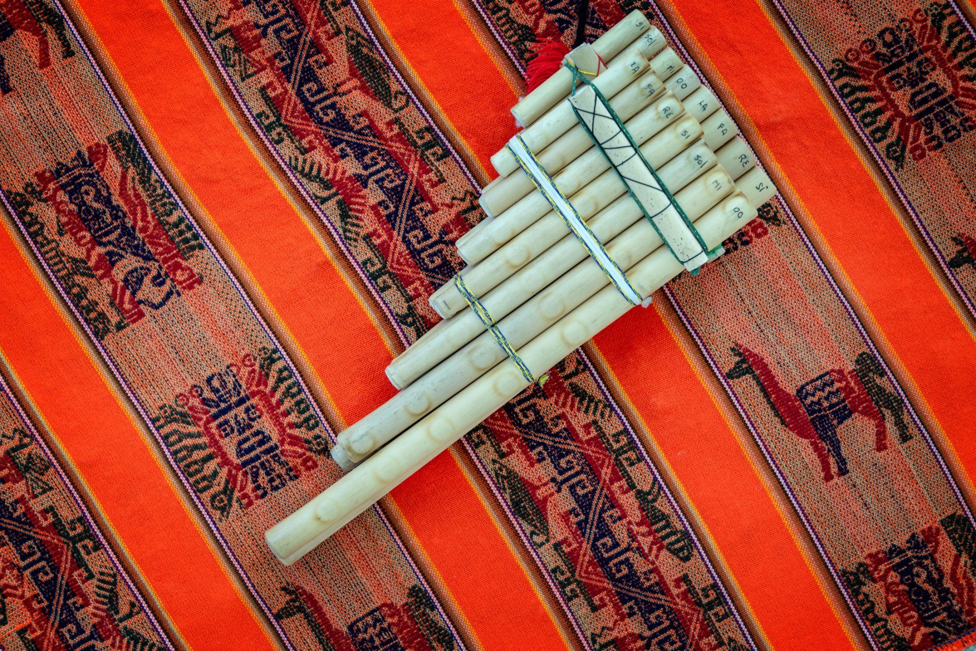 RAYMI band Smithsonian event