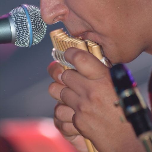 RAYMI band Andean folk group