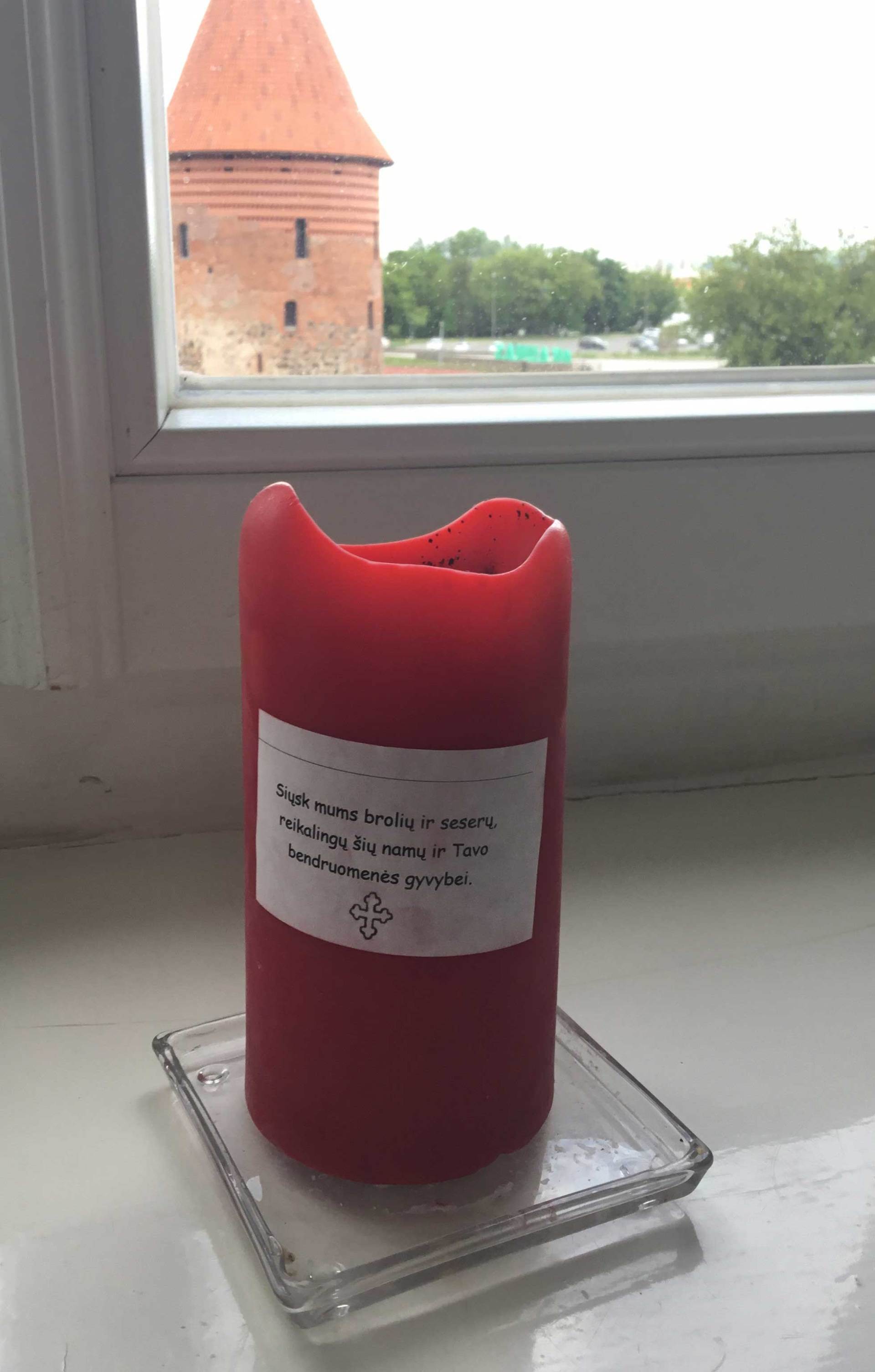 Domeikavos parapijos bendradarbiai žinias atnaujino ugdymo seminaruose