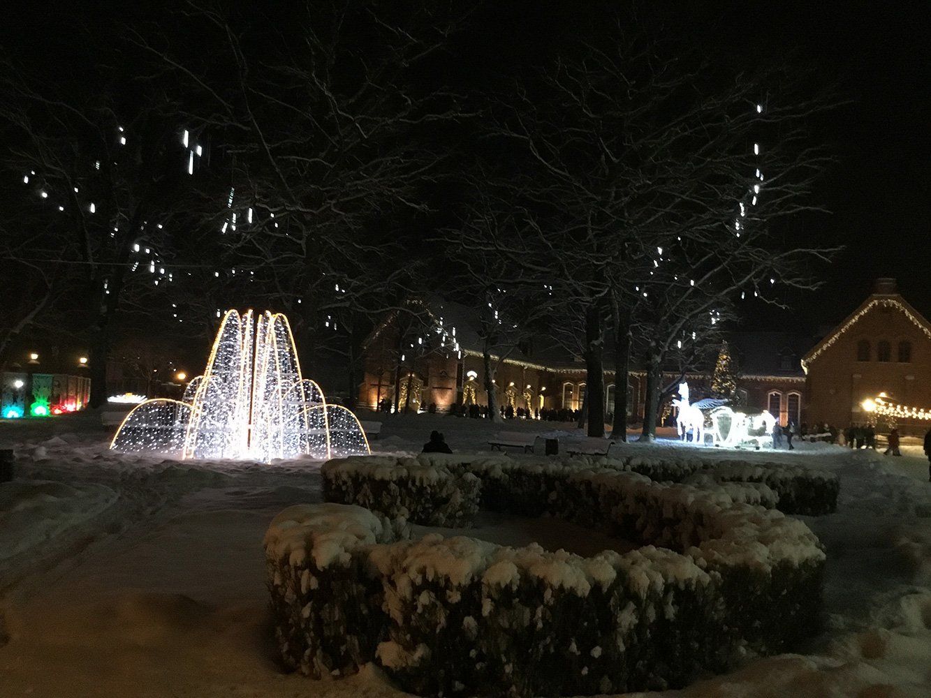 Pasaulio jaunimo dienos