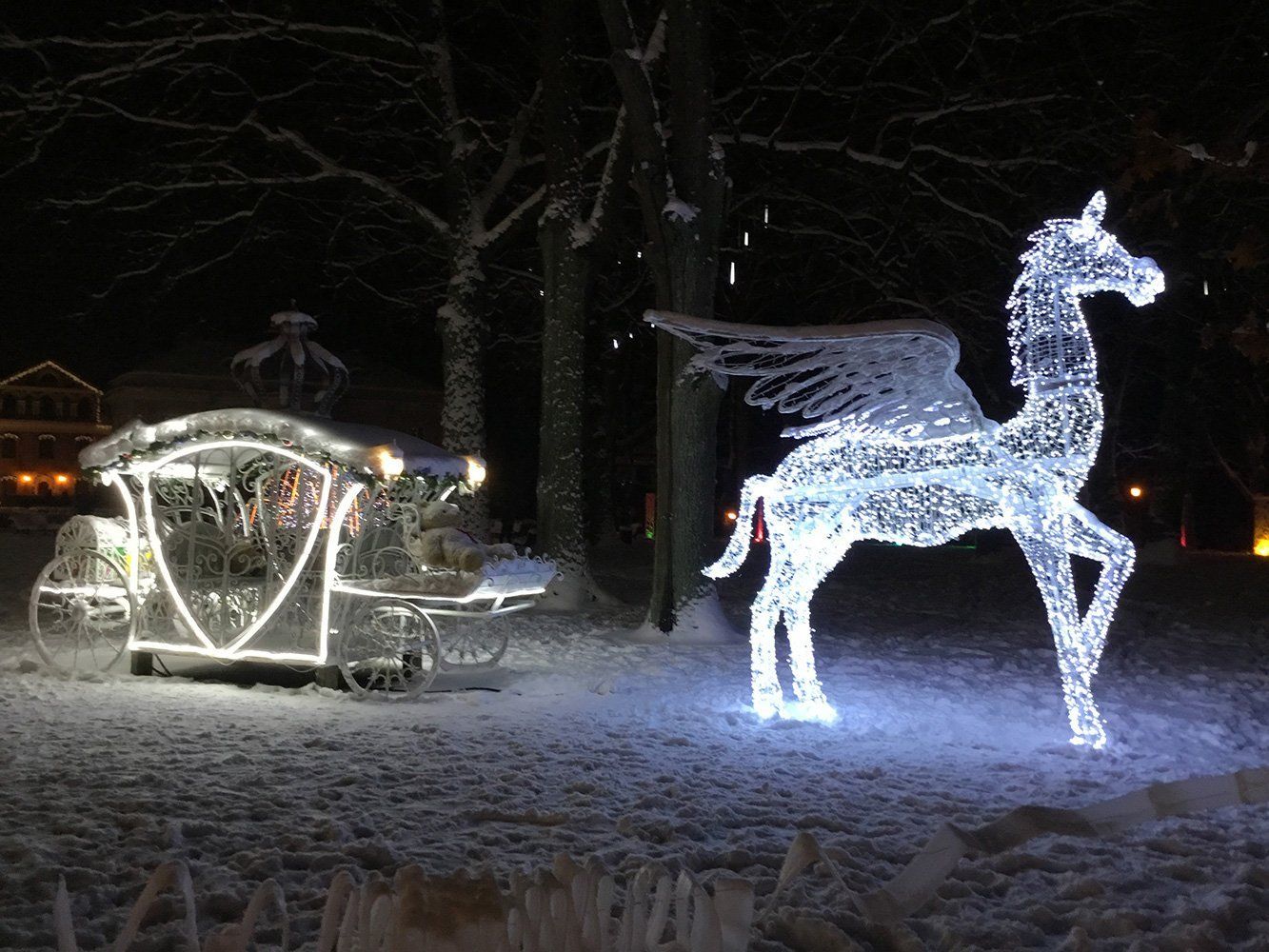 Pasaulio jaunimo dienos