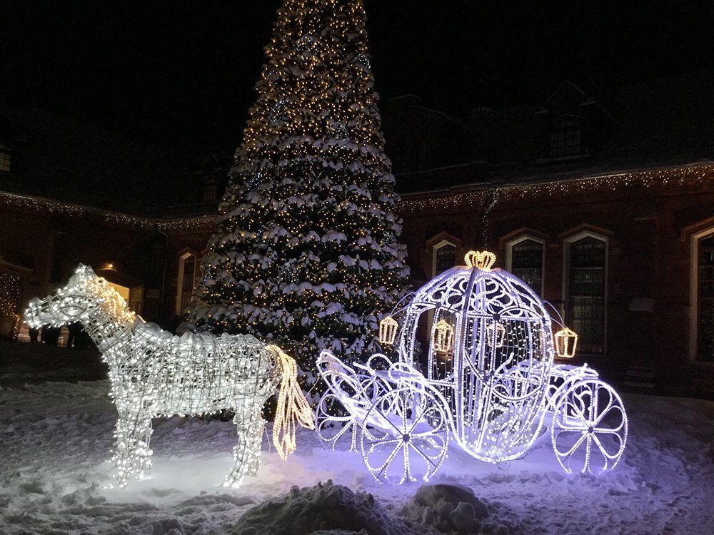 Pasaulio jaunimo dienos