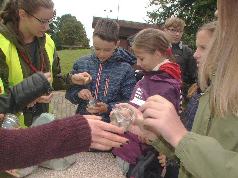 Jaunųjų piligrimų žygis