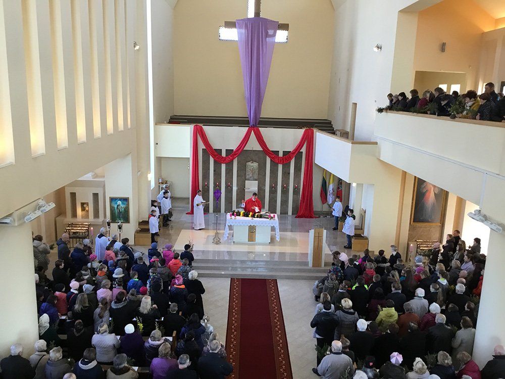 Verbų sekmadienis Domeikavos parapijoje